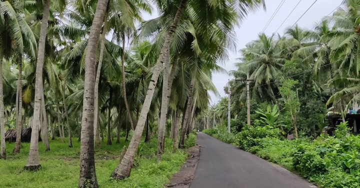 Antarvedi tour