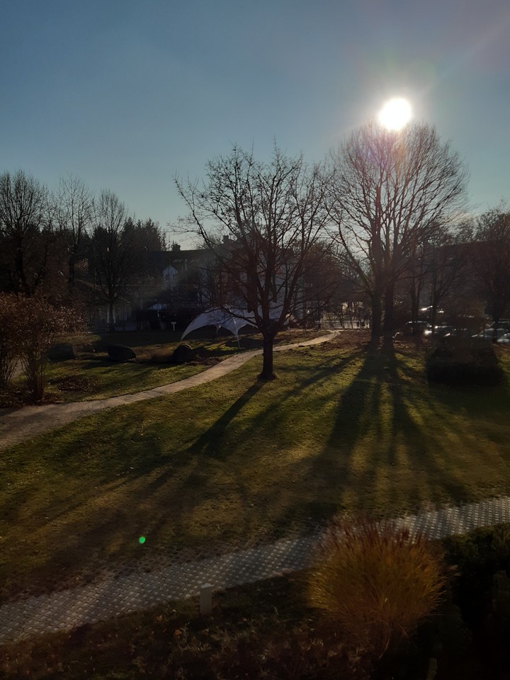 Sunny Landscape