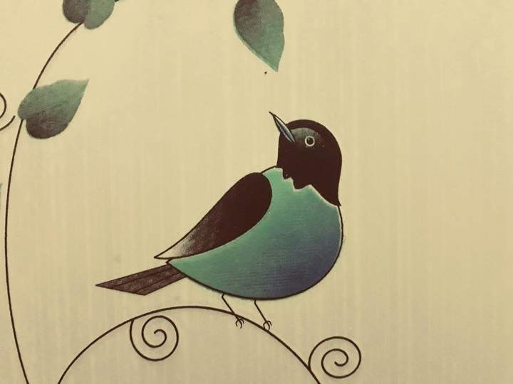 birds