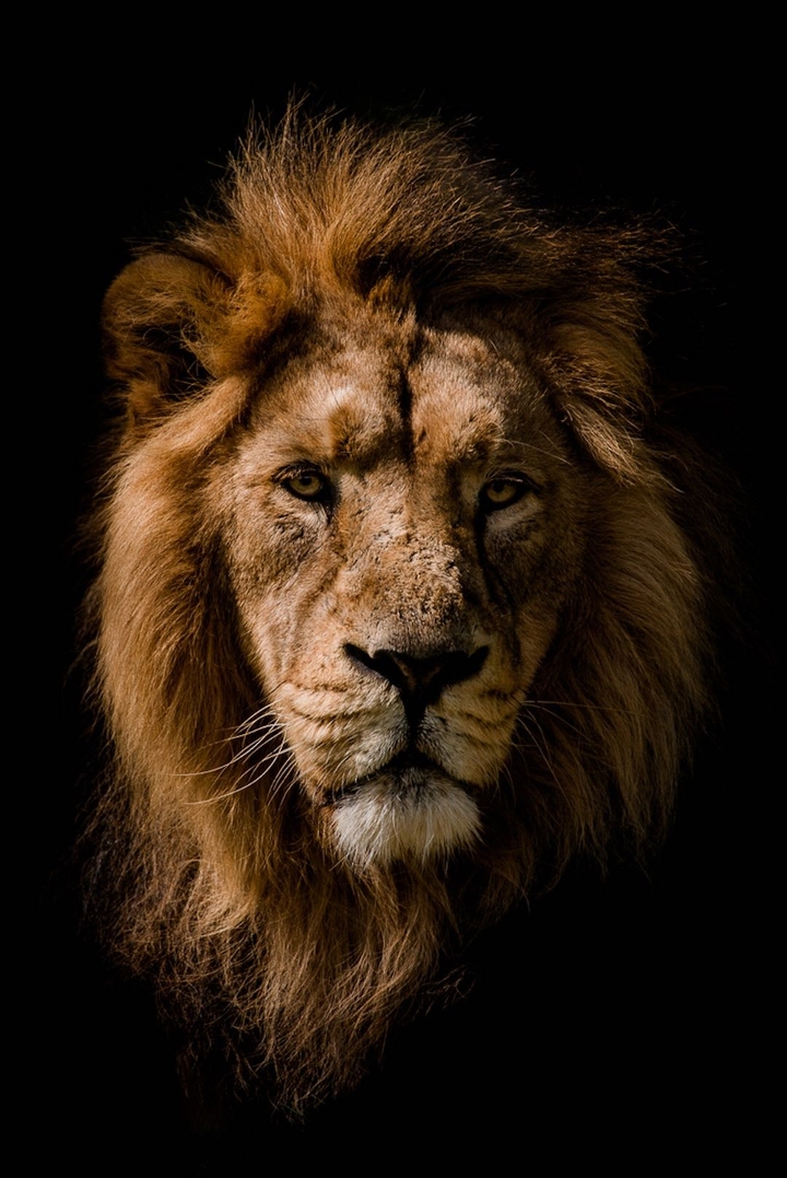 South Africa
