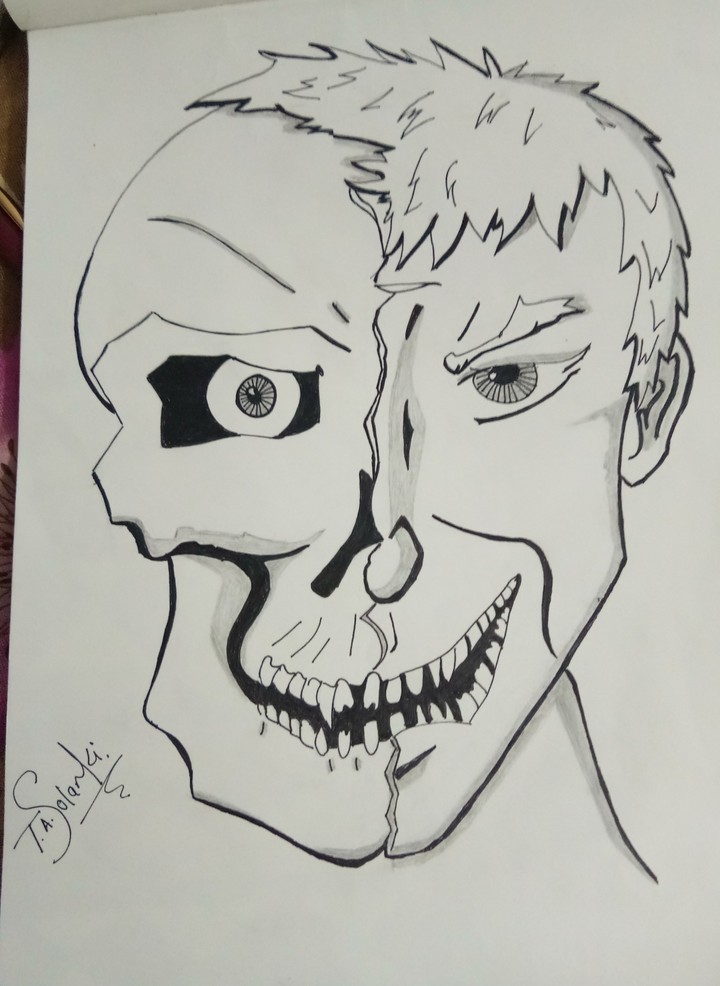 human being = skull