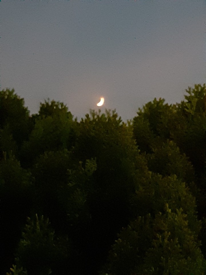 월-오봉도