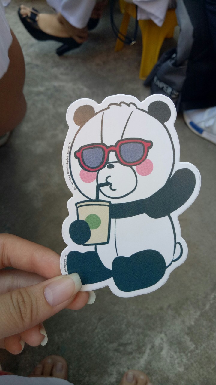 panda 