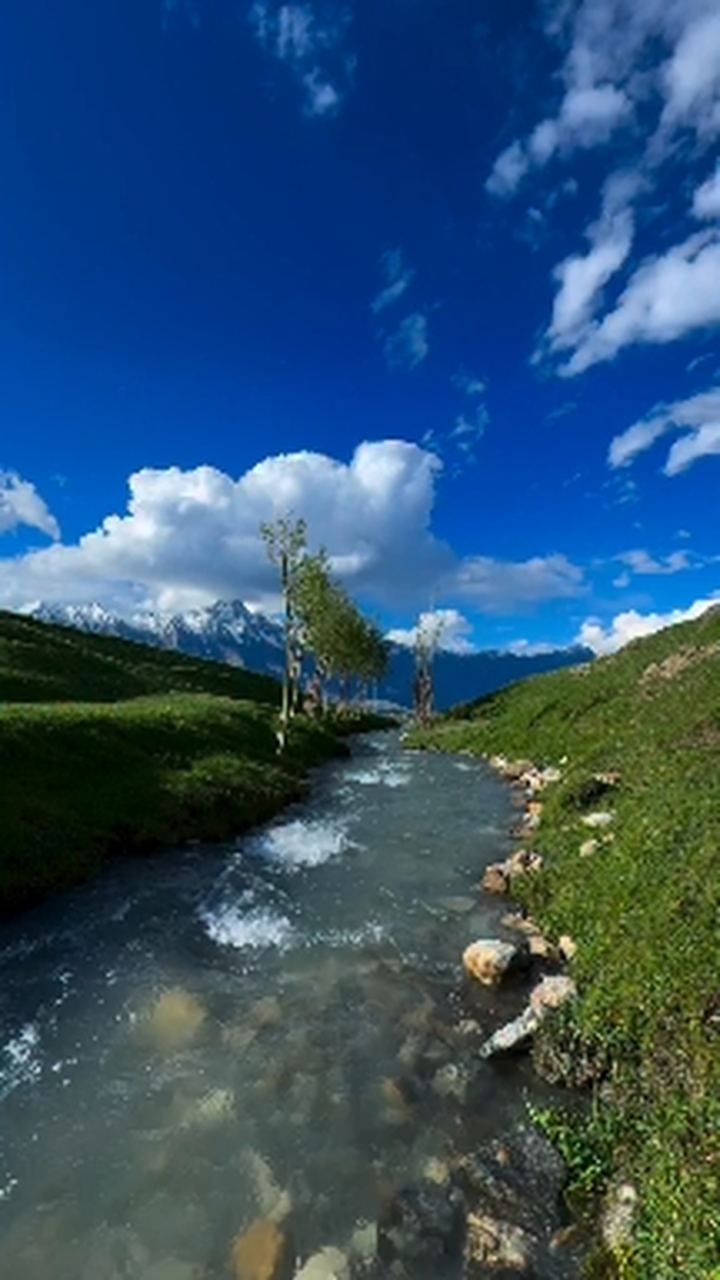 NATURE