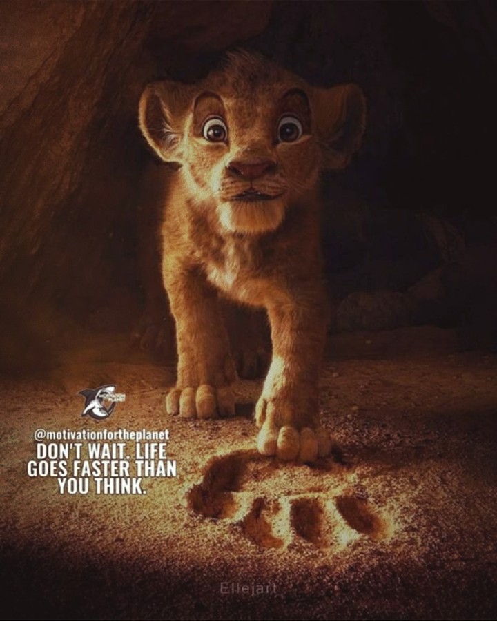 motivation