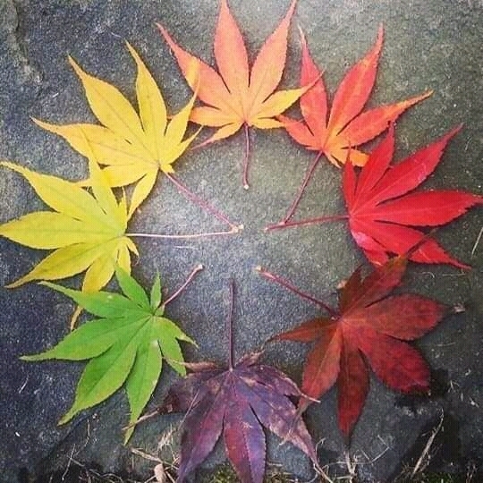 Fotos Diversas