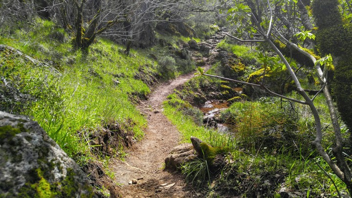 pathway