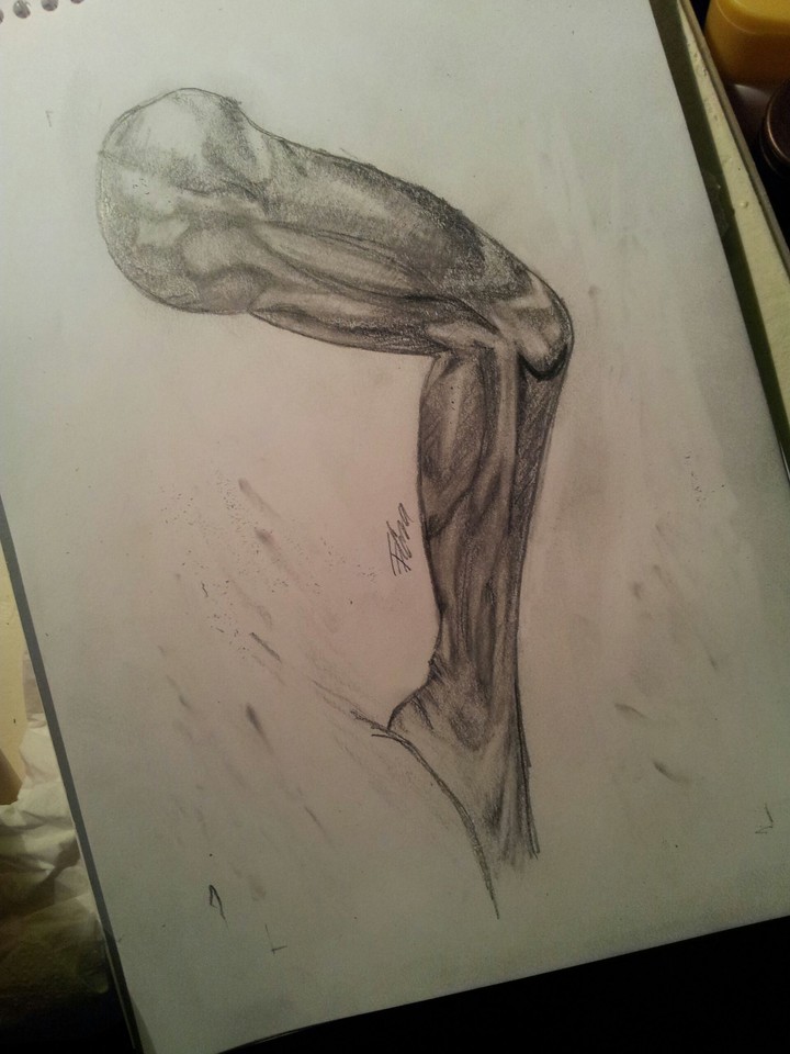 Leg Anatomy