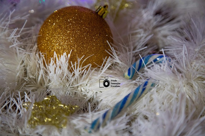 Christmas details