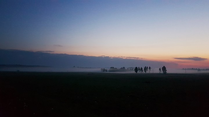 morning in the  mist