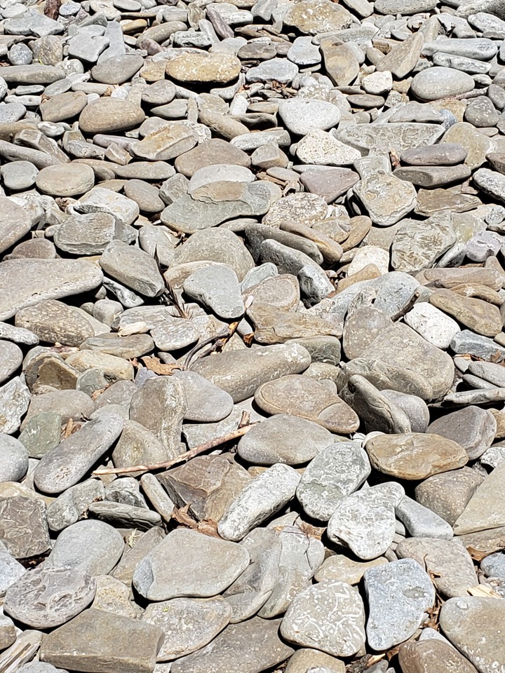 Beach Stones