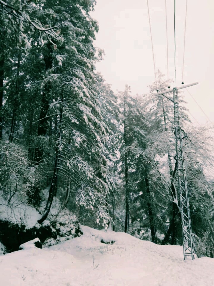 snow