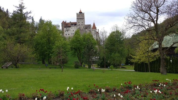 Dracula's castle