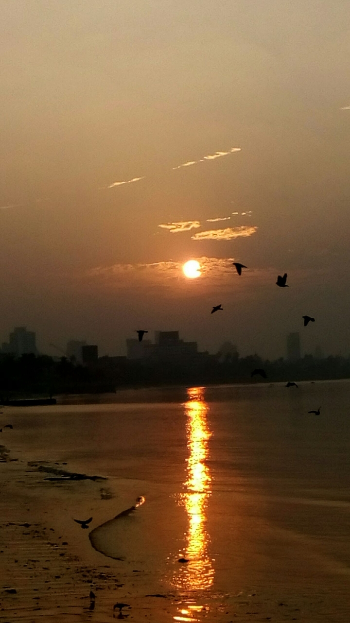 morning beach