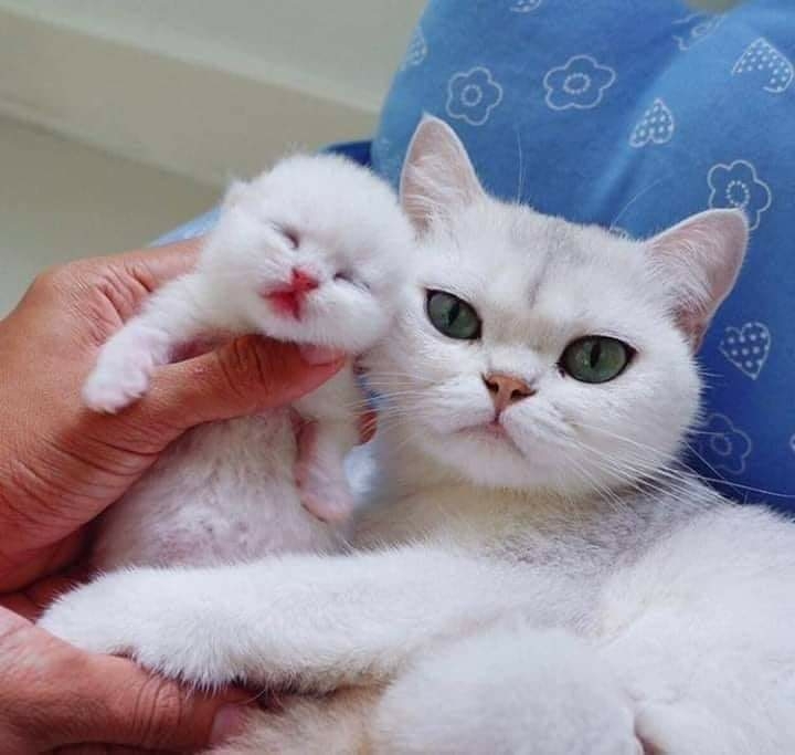 ❤