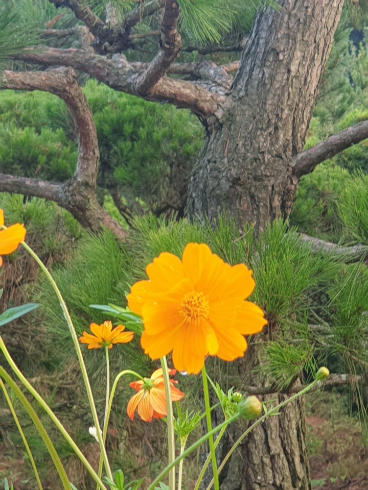 산책길에서