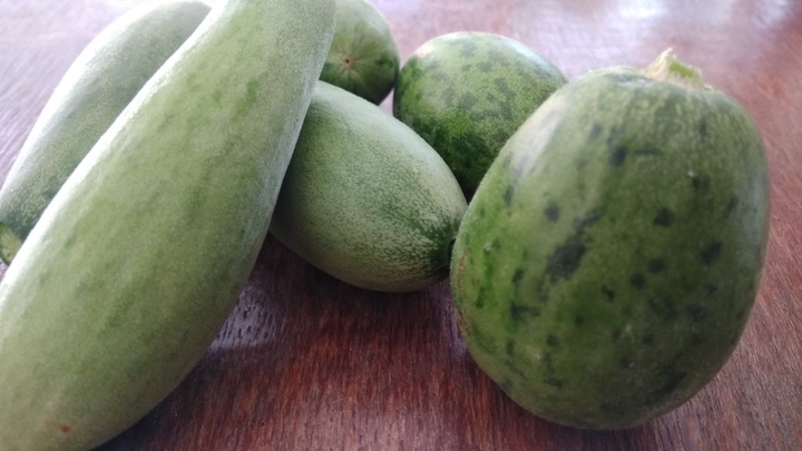 Melon