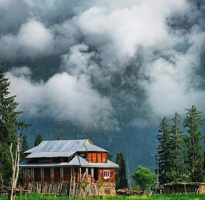 NATURE