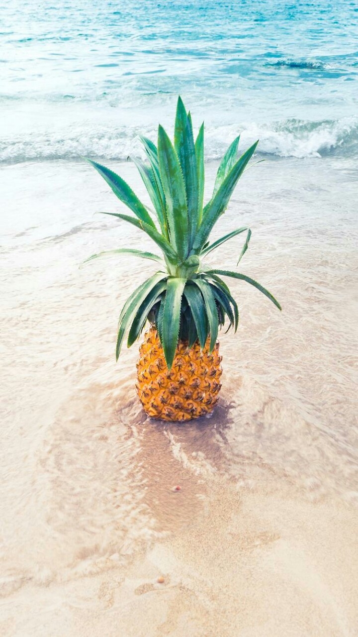 simple