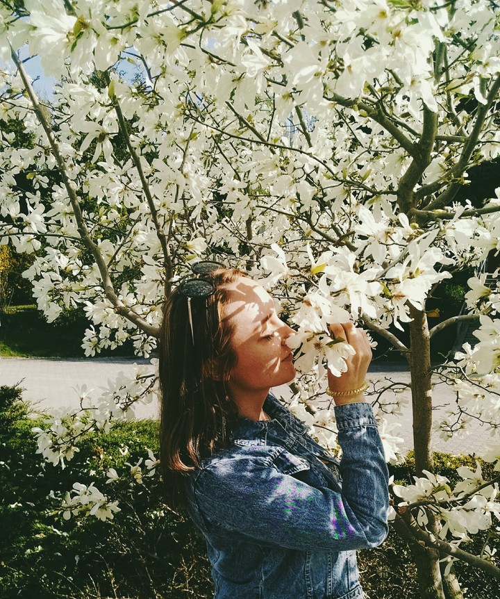 Magnoliya