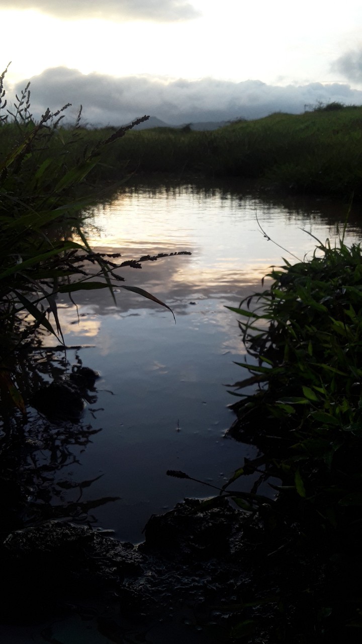 Reflecting wonder.