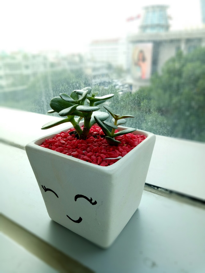 Smile