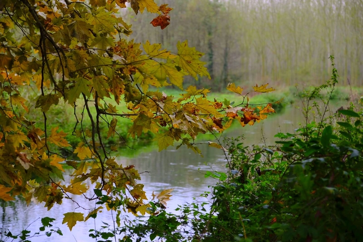 nature