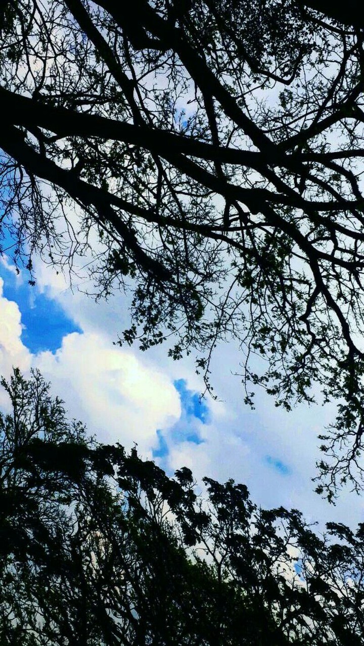 looking up
