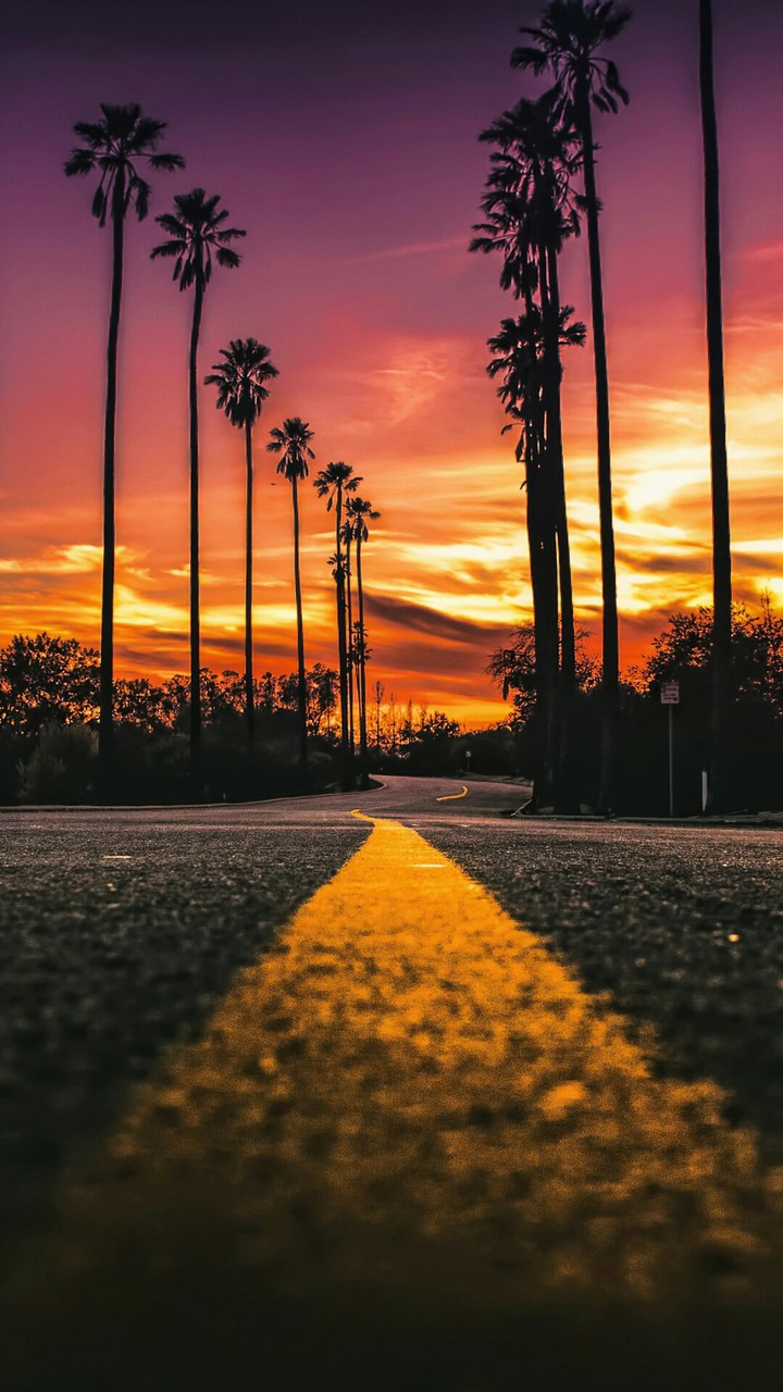 street evening view