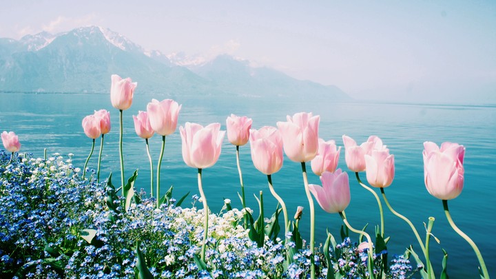 springtime