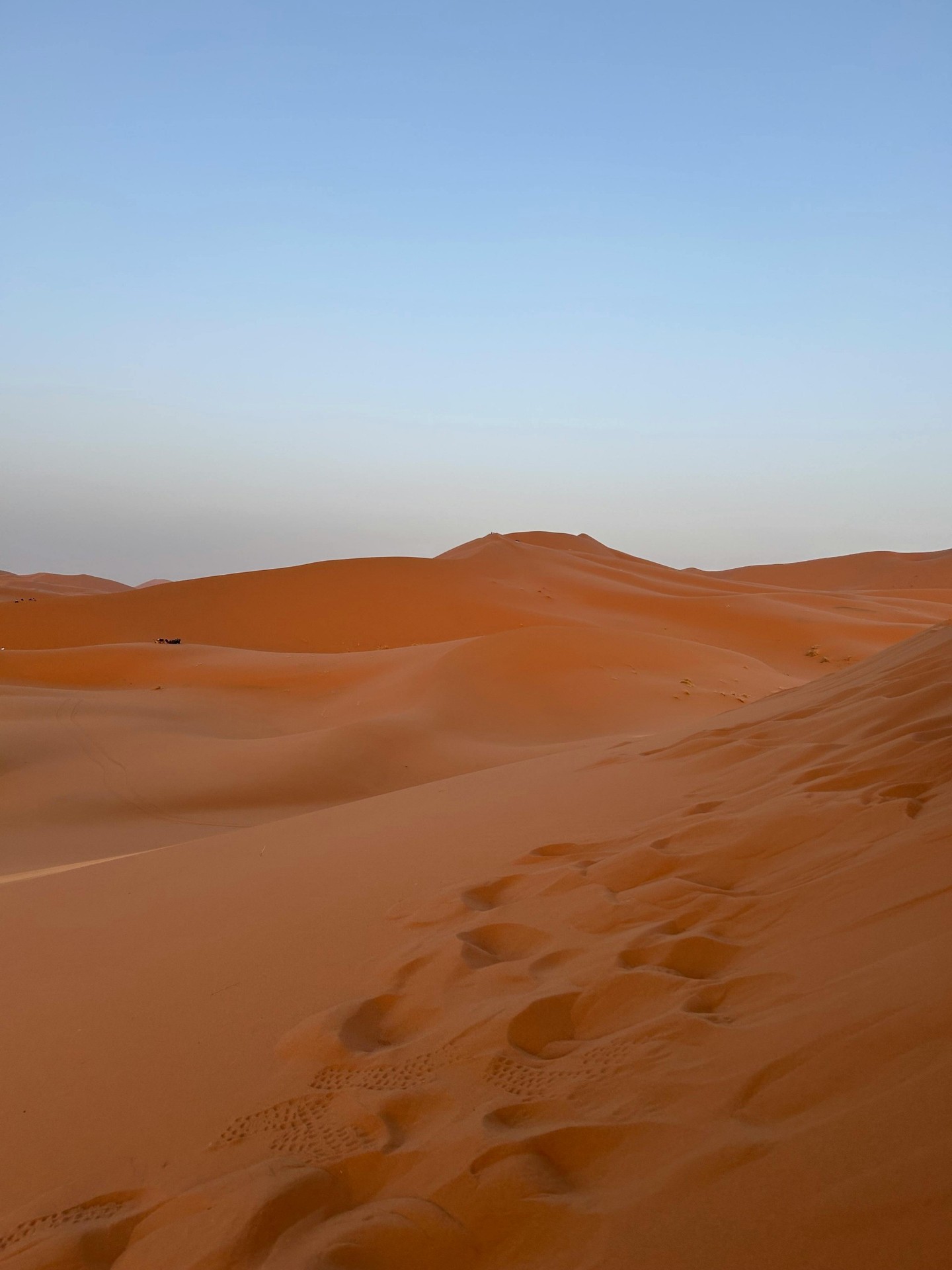 шпалери horizon, Desert