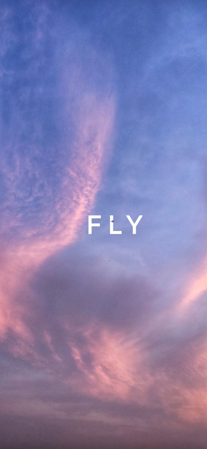 Sky Fly