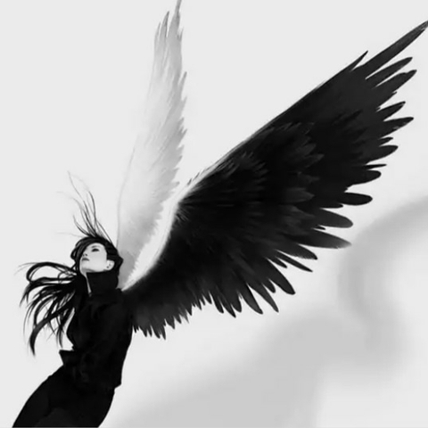 tapety bird, annimation