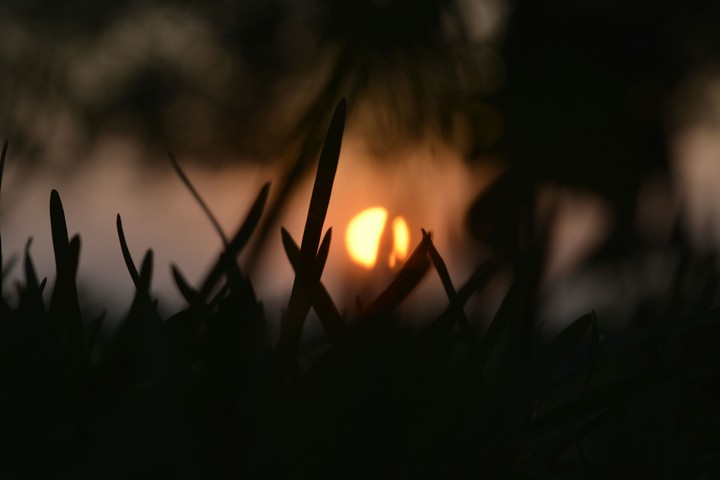beauty of nature
