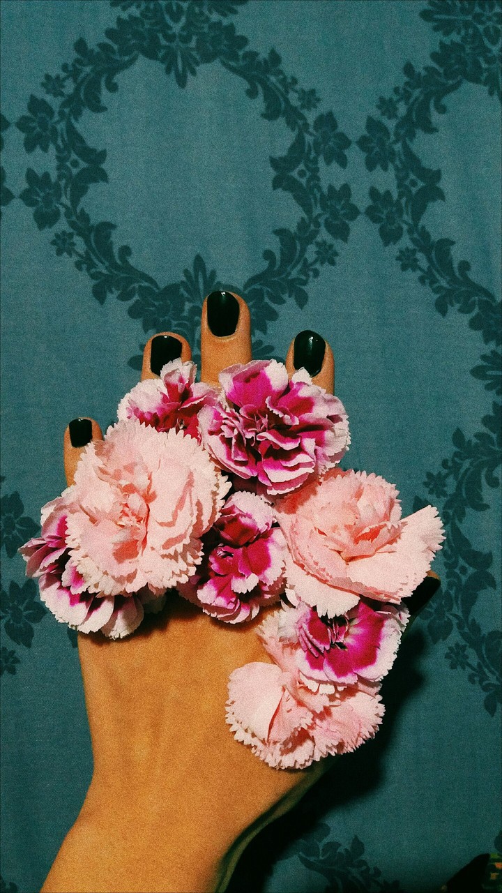Flower up