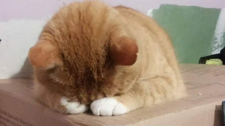 painting my TOO LIGHT ROOM. HE wanted to SLEEP!