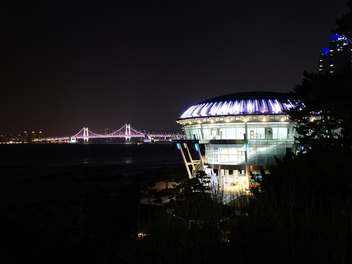 Flawless Busan nightlights