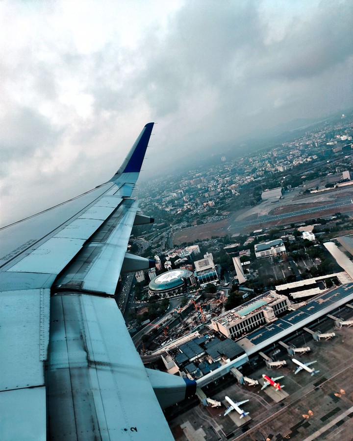 fly high