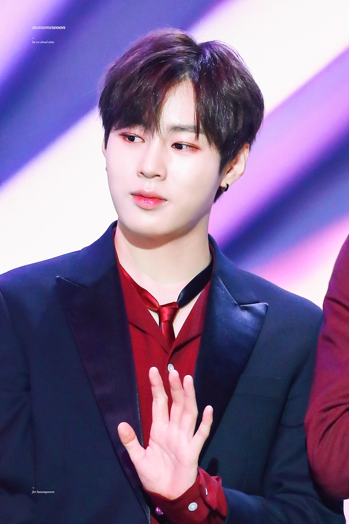 Ha Sung Woon
