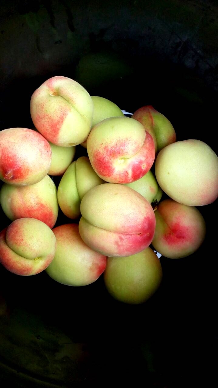 peach fruit nature