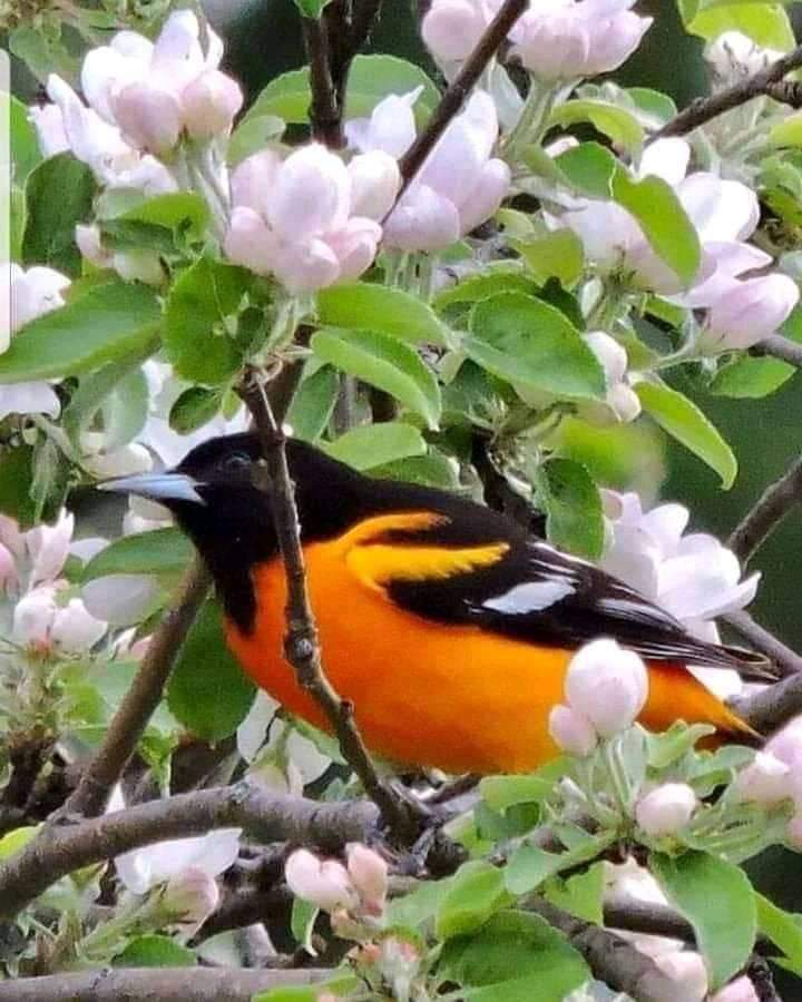❤⭐