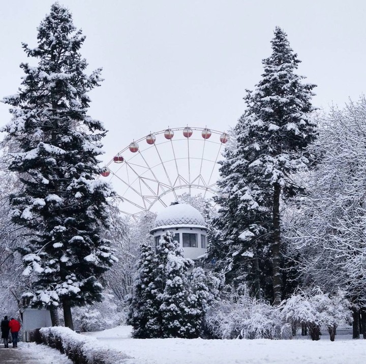 winter in the park