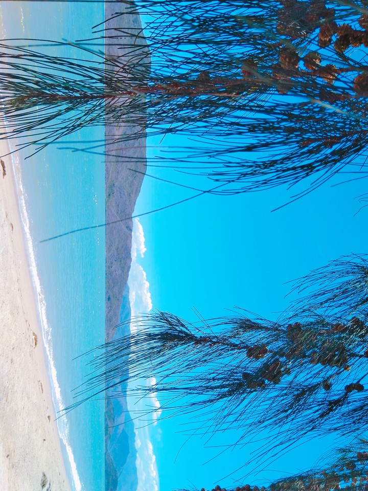 Sea