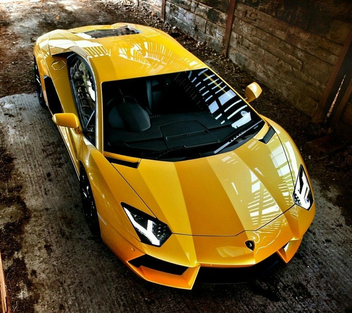 Lamborghini