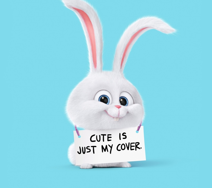 bunny
