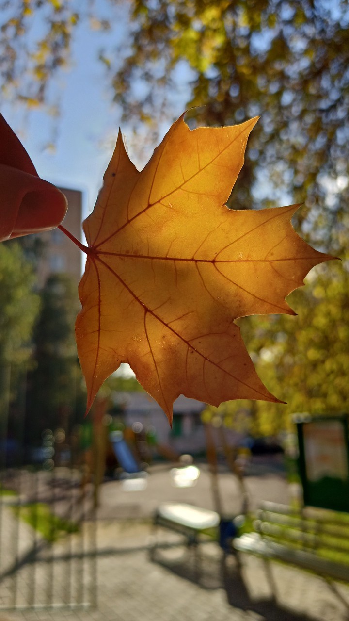 autumn 2021