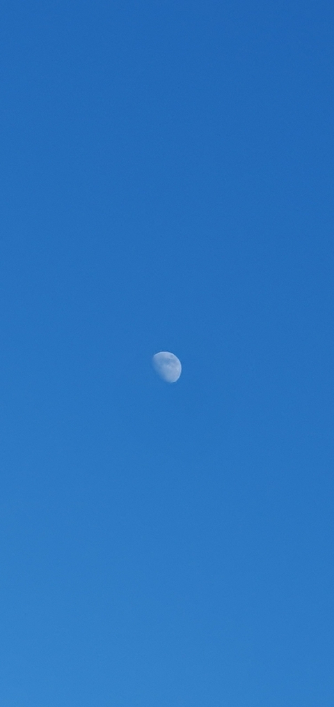 moon. ? ay