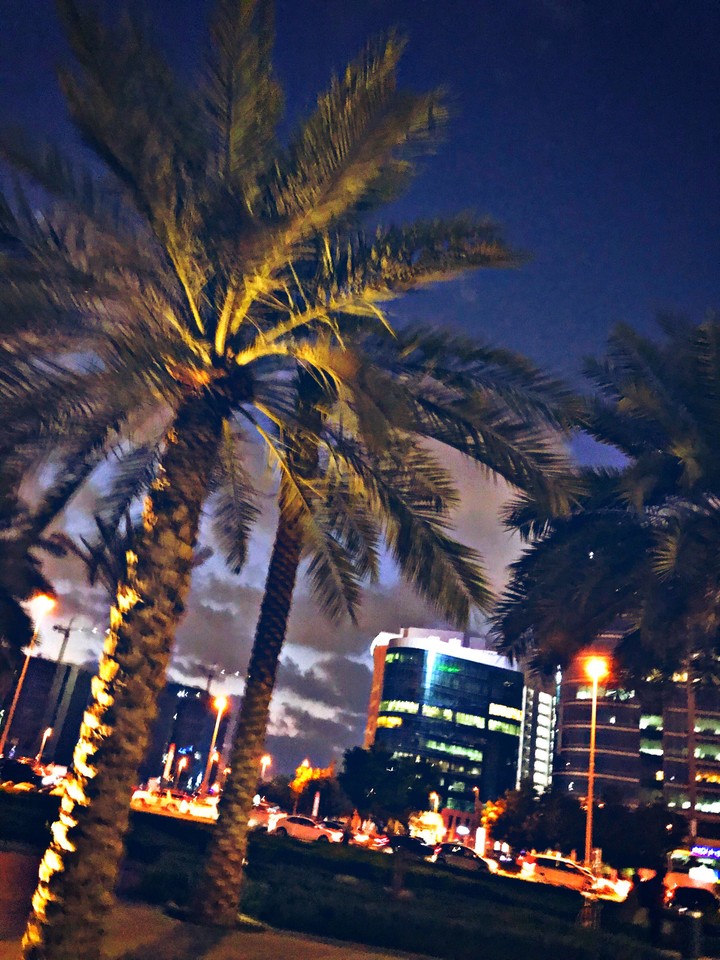 Palm