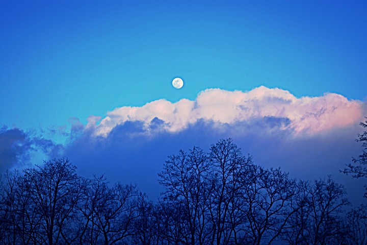 by Maljisevic Muamer