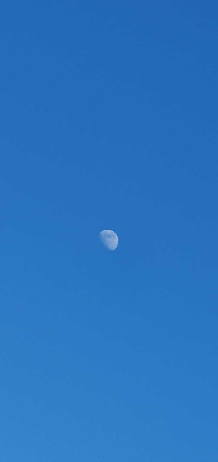 moon. ? ay